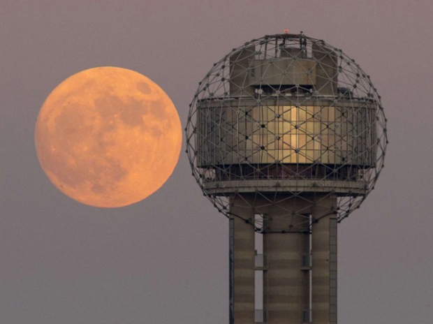 La tour de la réunion (Dallas) - © Tom Fox/AP/SIPA